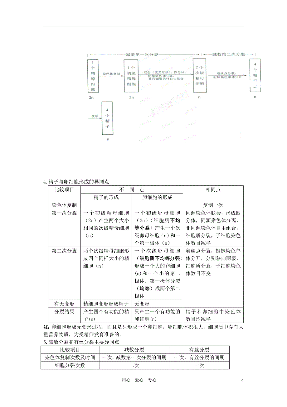 高中生物艺术体育生必背宝典遗传与进化必修2_第4页