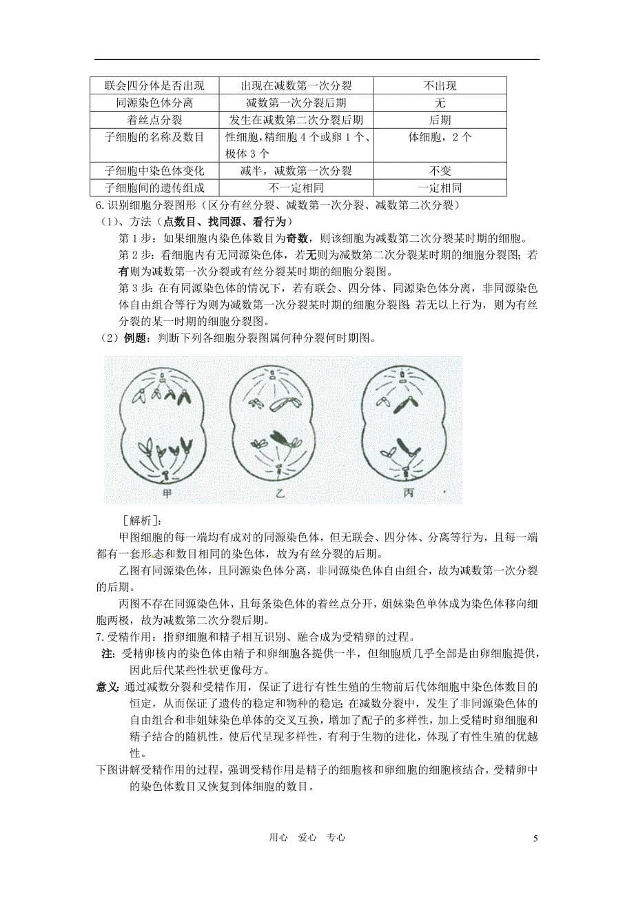 高中生物艺术体育生必背宝典遗传与进化必修2_第5页