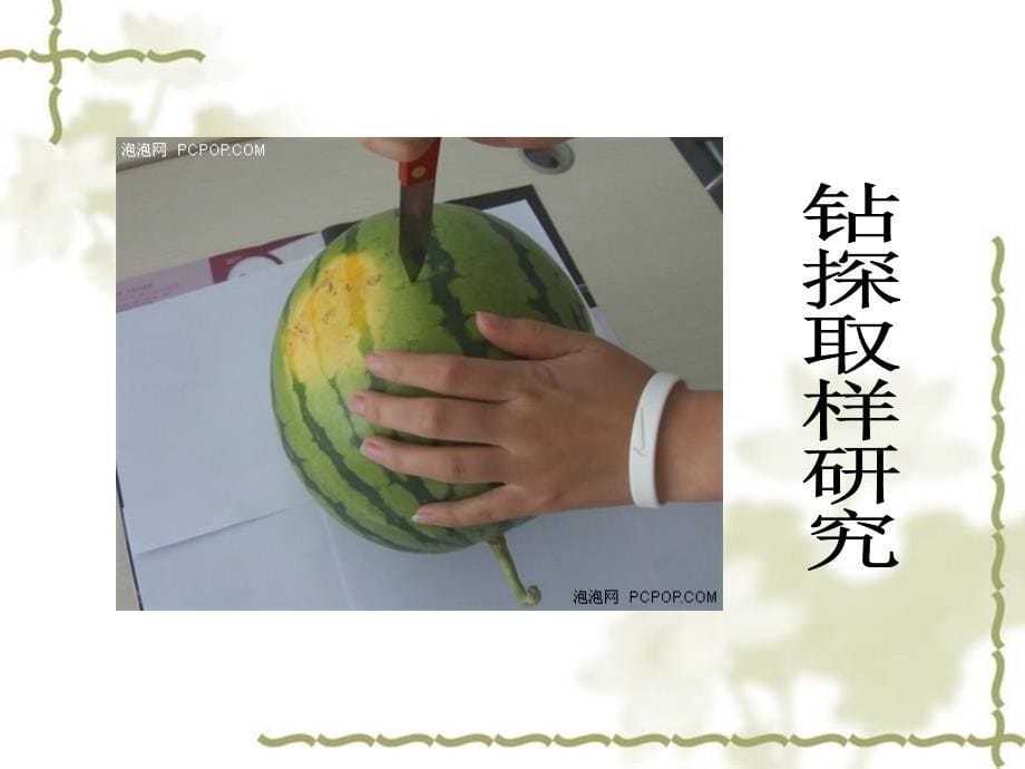 高一第一章地球的圈层结构.ppt_第5页