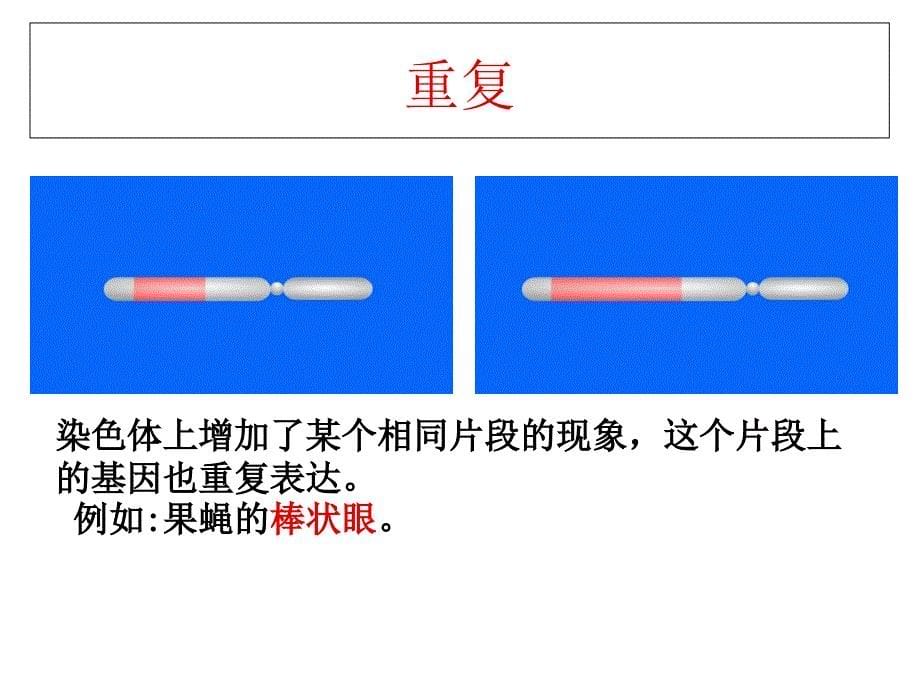 染色体畸变PPT优秀课件_第5页