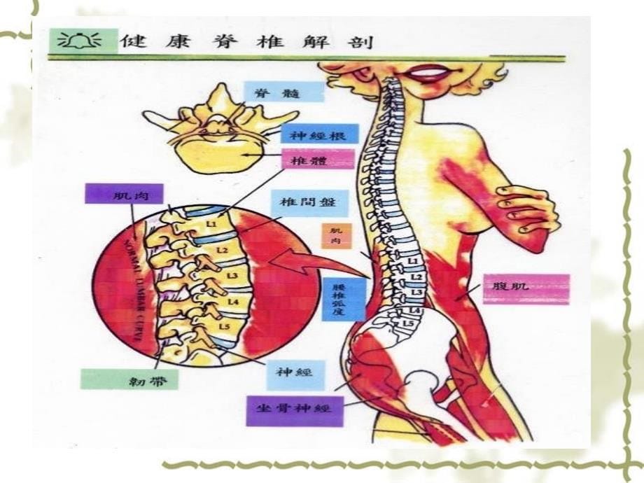 《脊柱骨折的护理》_第5页