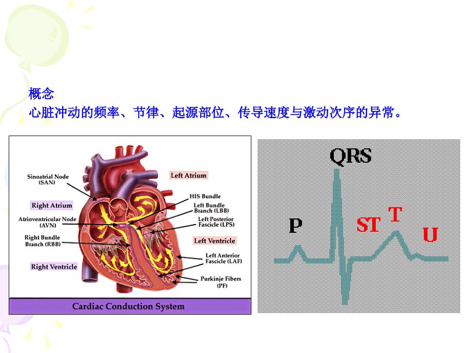 心律失常杨士斌PPT课件_第3页