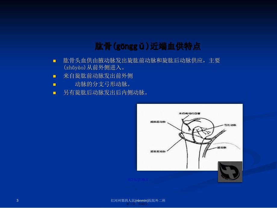 肱骨近端骨折分型及治疗学习教案_第3页