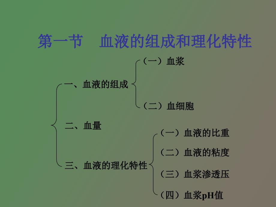 血液系统生理_第4页