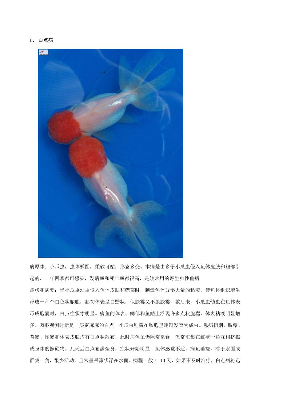 观赏鱼鱼病防治方法图解_第1页