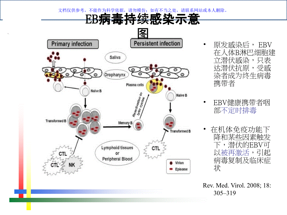 EB病毒感染的实验室诊断方法及合理运用课件_第3页