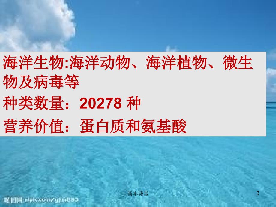 海洋是个聚宝盆行稳教育_第3页