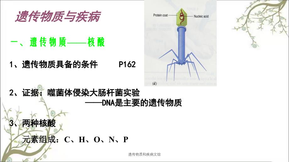 遗传物质和疾病文综课件_第1页