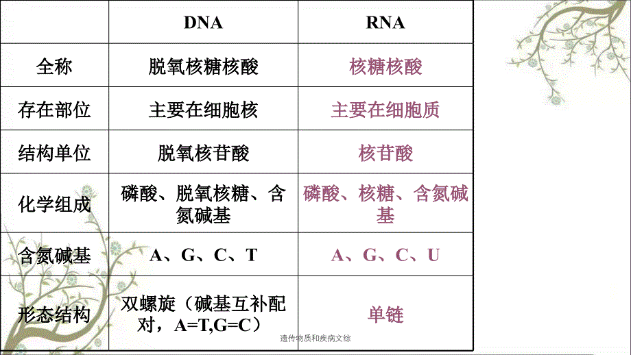 遗传物质和疾病文综课件_第3页