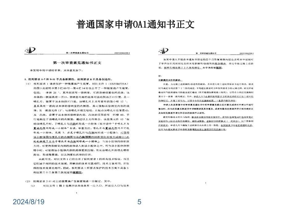 OA答复原则及策略_第5页