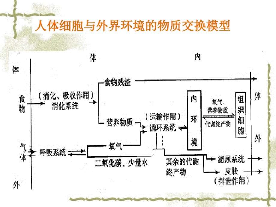 《稳态与环境》教学反思和建议_第5页