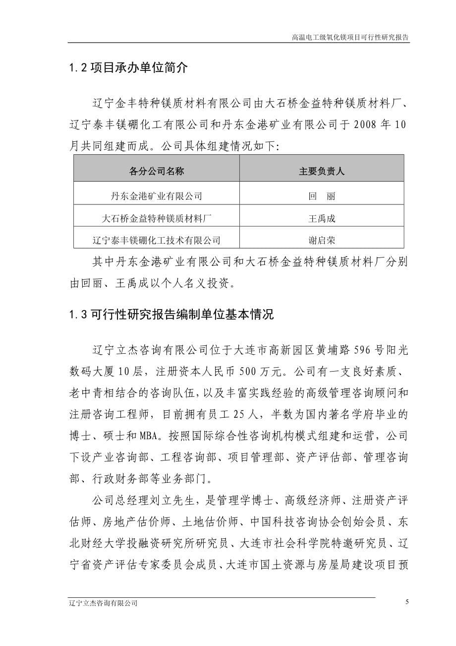 高温电工级氧化镁项目可行性研究报告_第5页