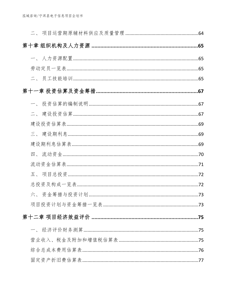 宁洱县电子信息项目企划书_参考范文_第3页