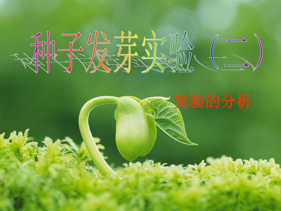 《种子发芽实验》PPT课件.ppt_第1页