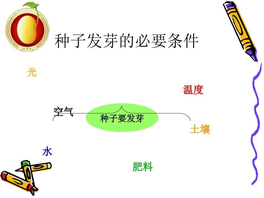 《种子发芽实验》PPT课件.ppt_第5页