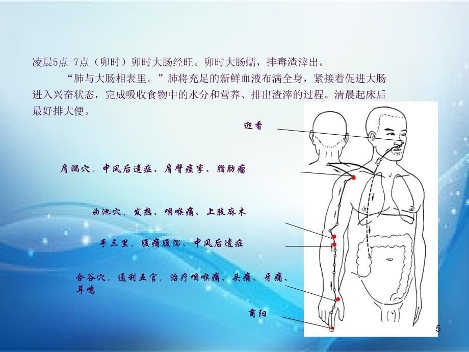 十二经络养生2ppt课件_第5页