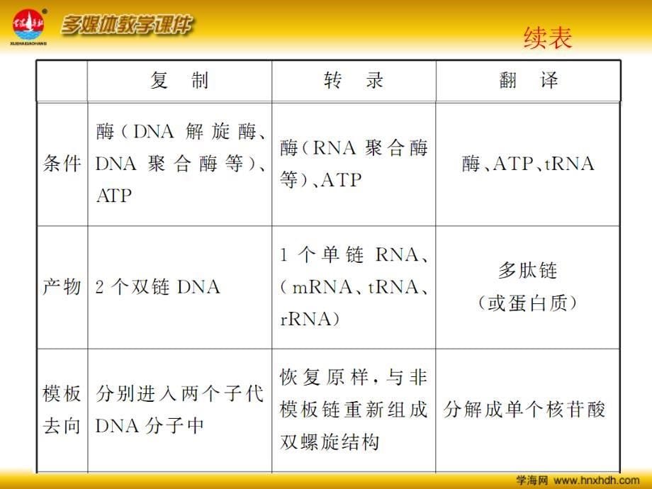 必修2第7讲基因指导蛋白质的合成_第5页