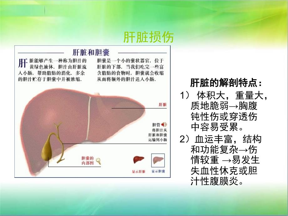 肝损伤讲解.ppt_第2页