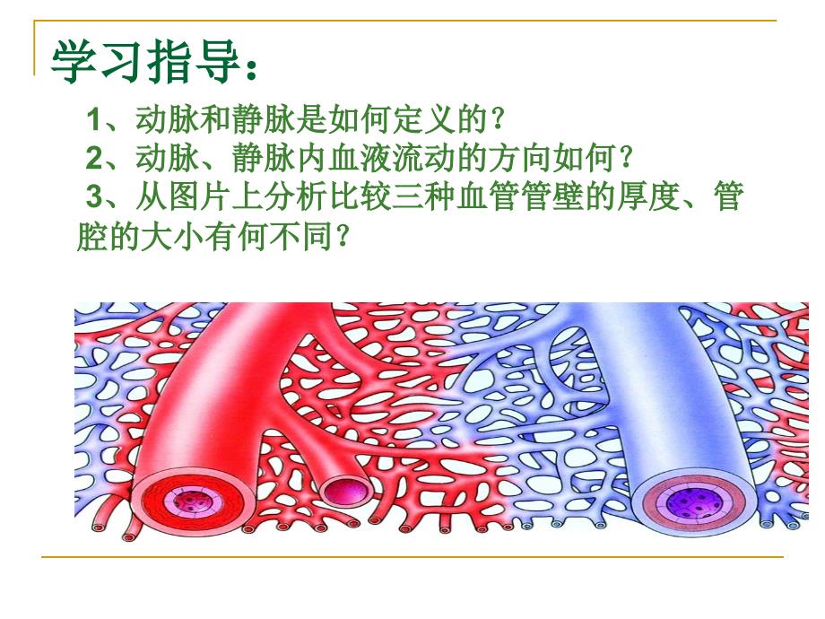 第二节血液循环_第4页