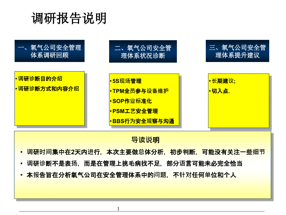 安全管理体系评价报告书_第2页