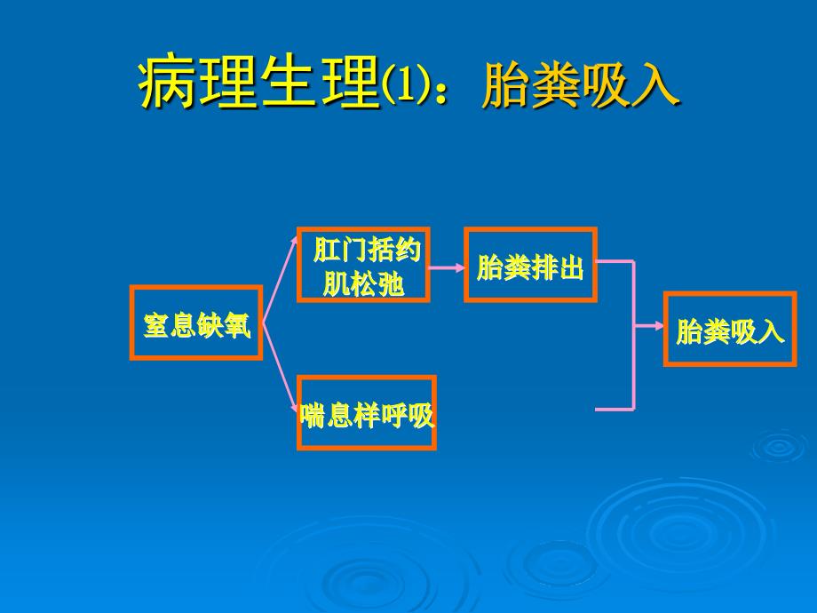 新生儿胎粪吸入综合征.ppt_第3页