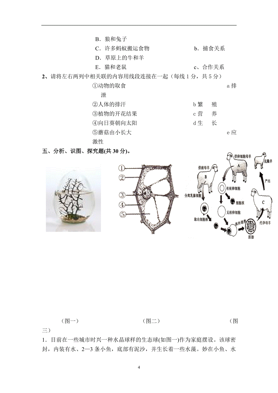 (word完整版)人教版七年级生物上册期末考试试卷及答案-推荐文档.doc_第4页