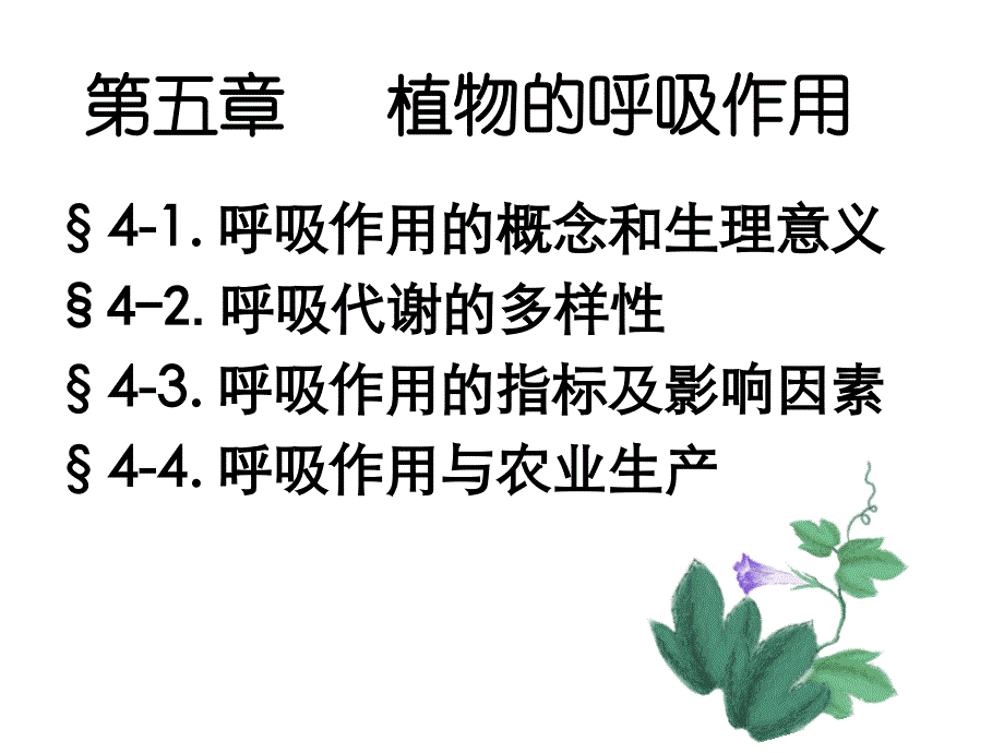 植物呼吸作用陈智忠课件_第1页