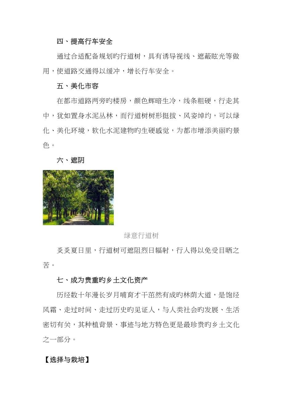 常见绿化树种分类及应用_第5页
