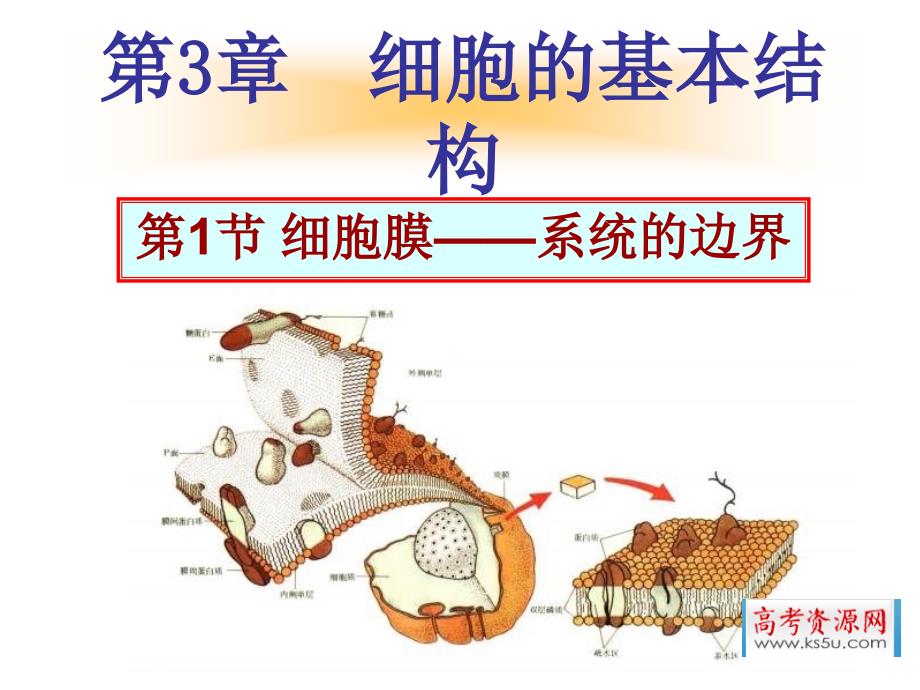 高一生物细胞膜课件_第1页