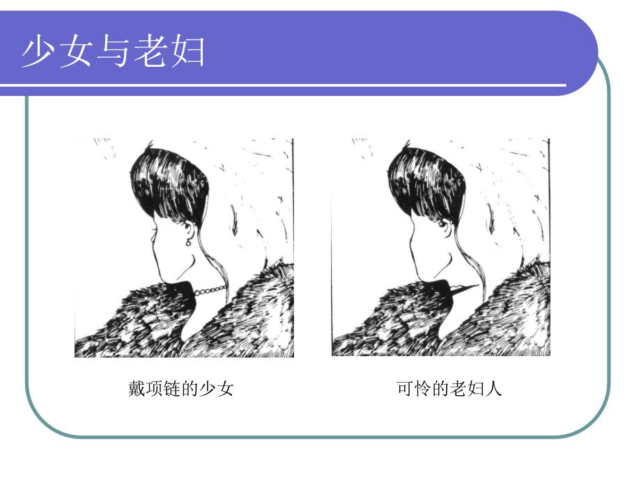 普通心理学知觉PPT课件_第3页