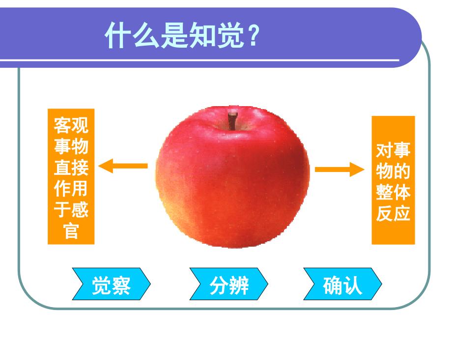 普通心理学知觉PPT课件_第4页