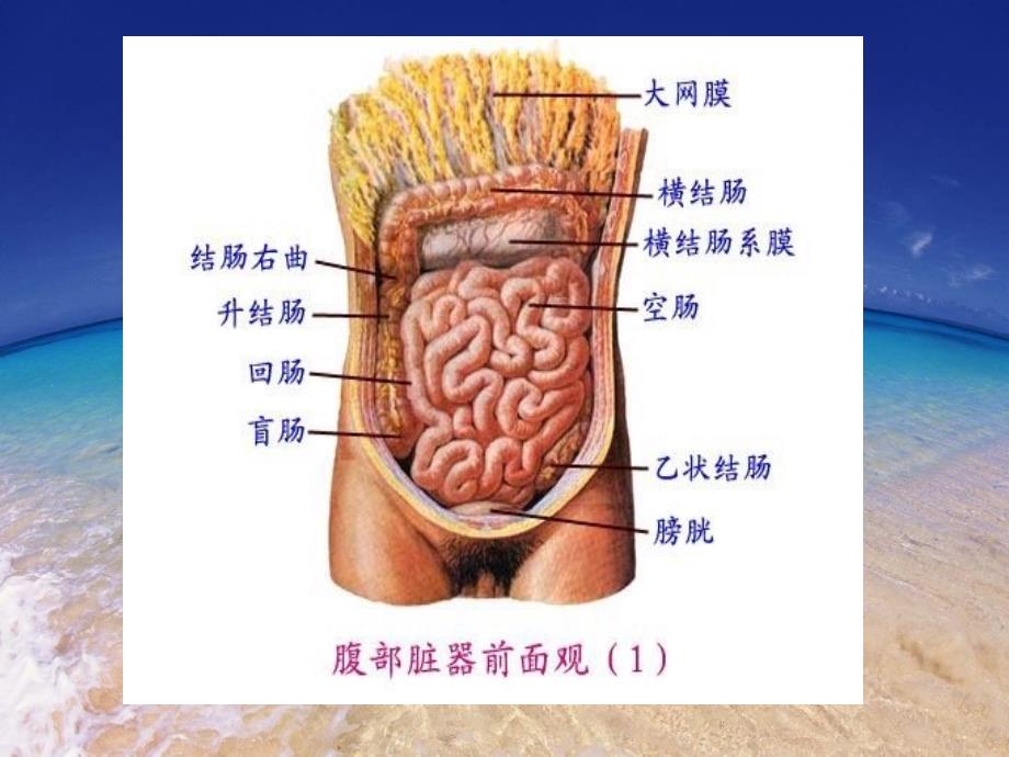 消化道穿孔CT诊断_第3页