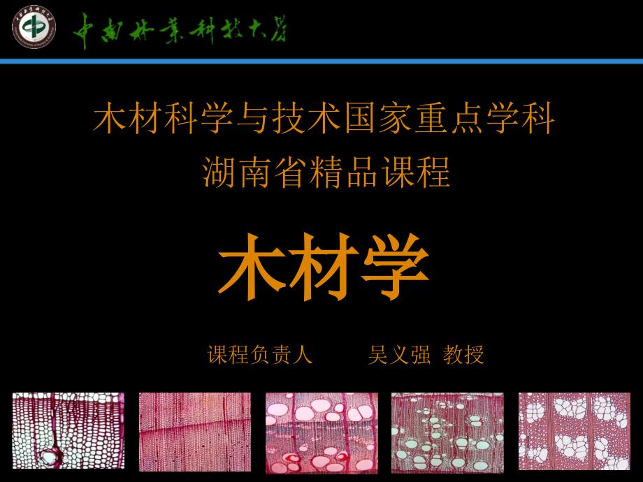 第四章 木材显微构造PPT课件_第1页