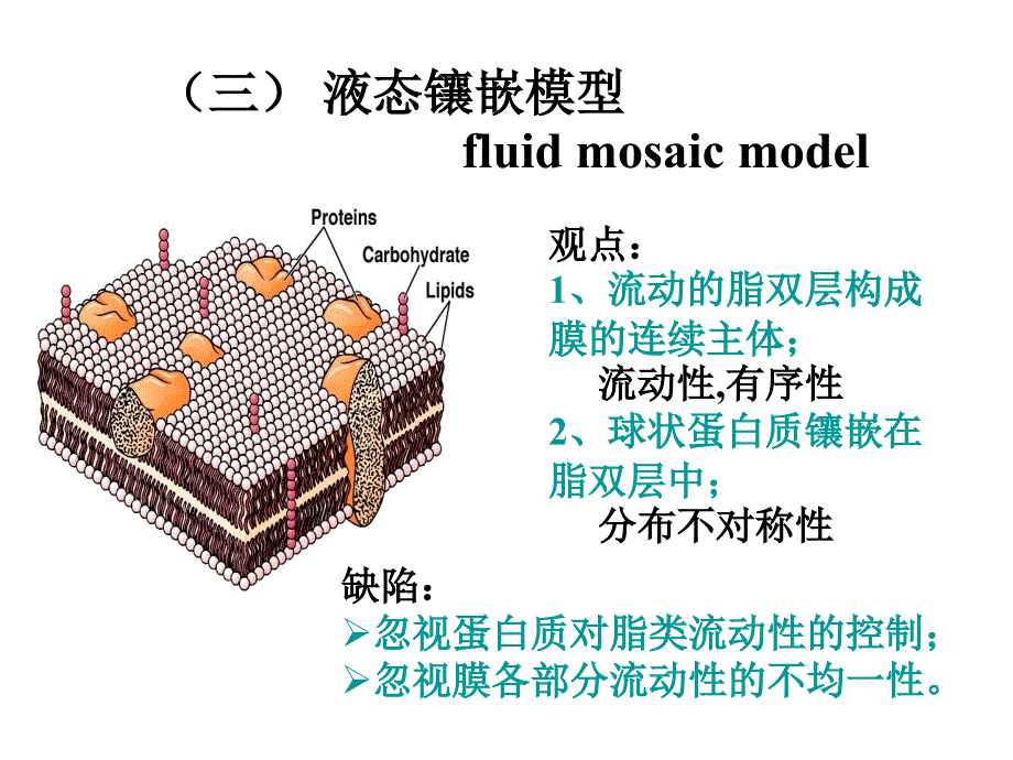 第二细胞膜的分子结构_第4页