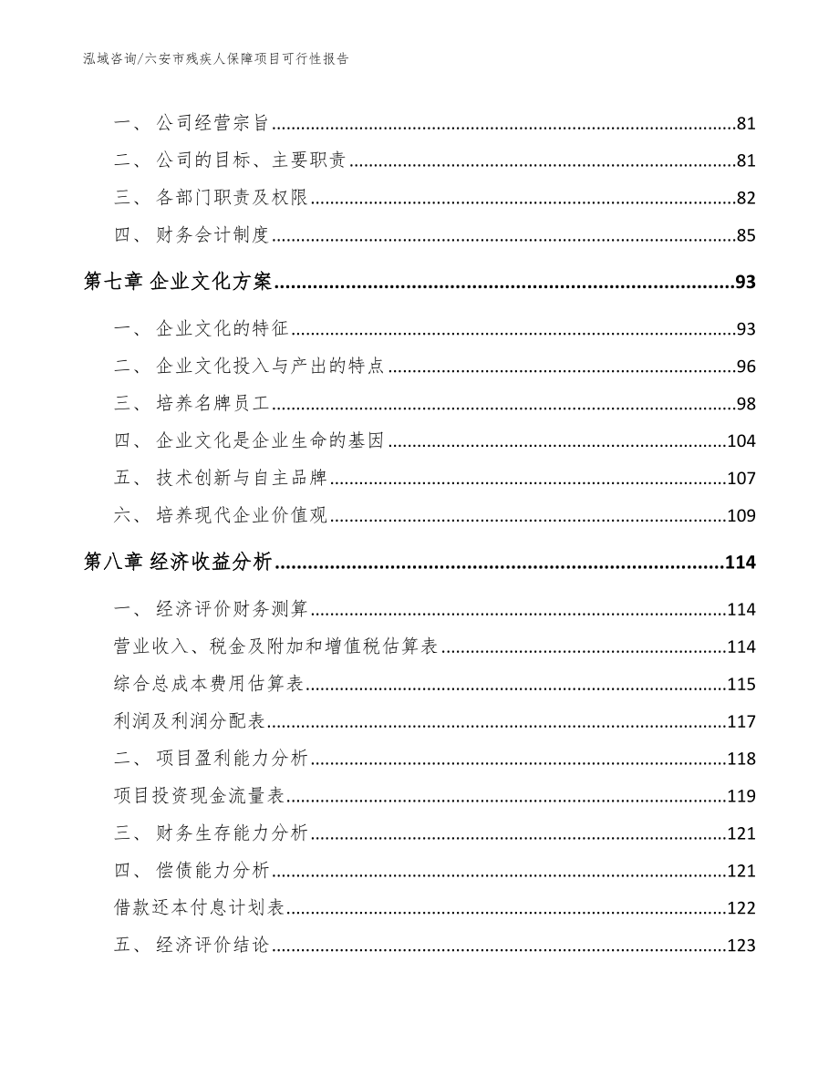 六安市残疾人保障项目可行性报告（参考模板）_第3页