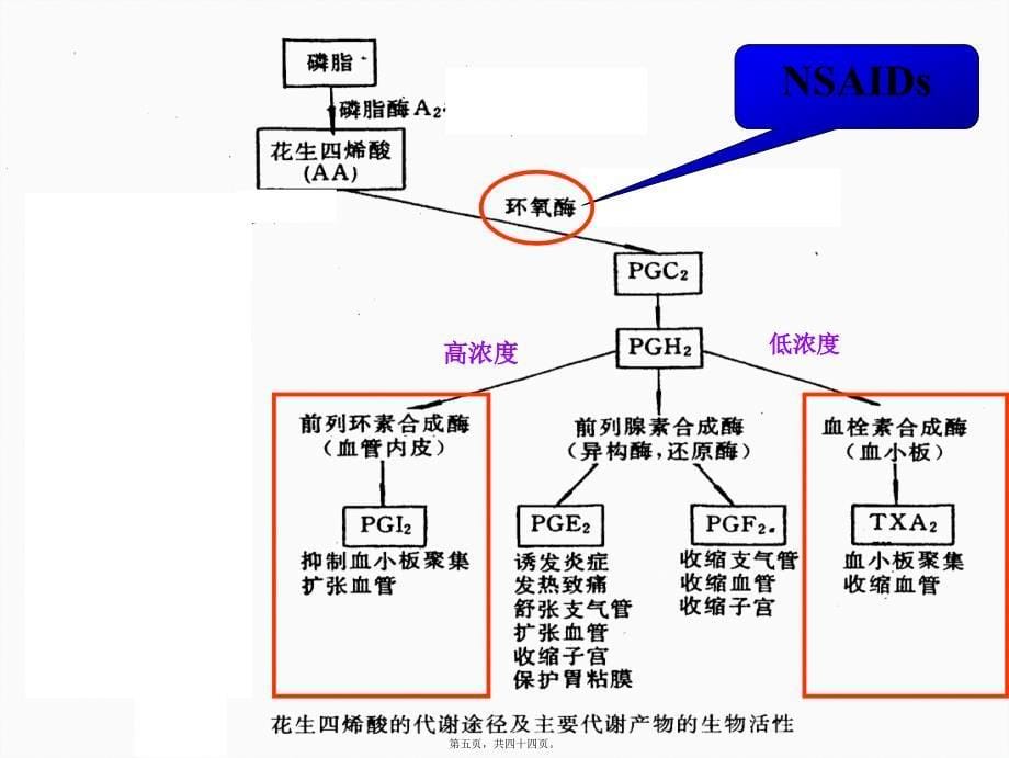 医学专题—第十六讲-解热镇痛药5354_第5页