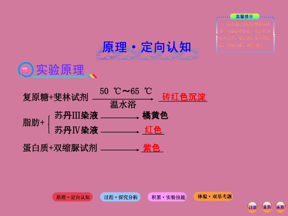 高考一轮生物复习实验检测生物组织中的糖类脂肪和蛋白质人教版ppt课件_第2页