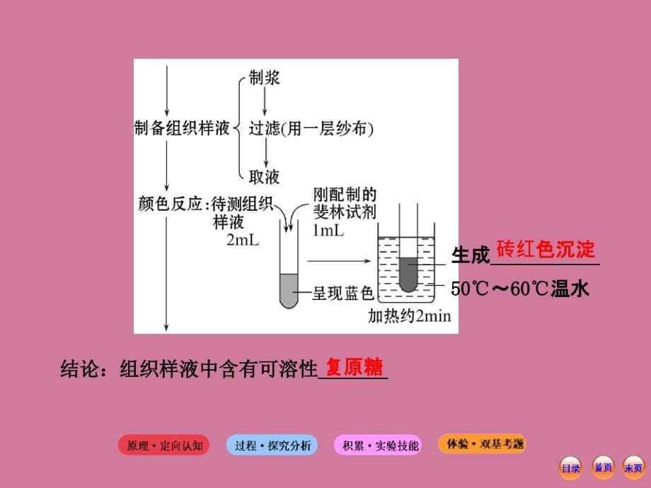 高考一轮生物复习实验检测生物组织中的糖类脂肪和蛋白质人教版ppt课件_第5页