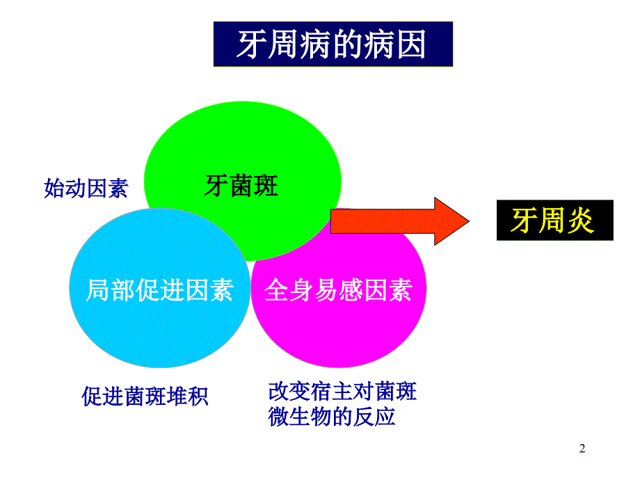 口腔医学牙周病学课件牙周病的病因学_第2页