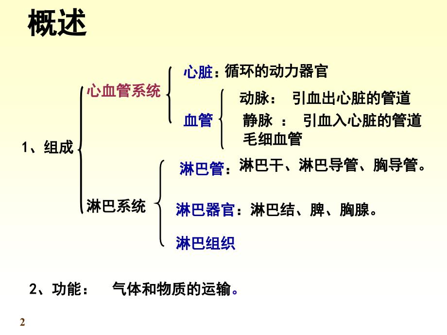 脉管系统心脏ppt课件_第2页