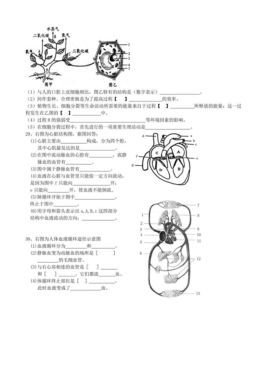 中考生物知识点汇总及复习题3物质的运输_第5页