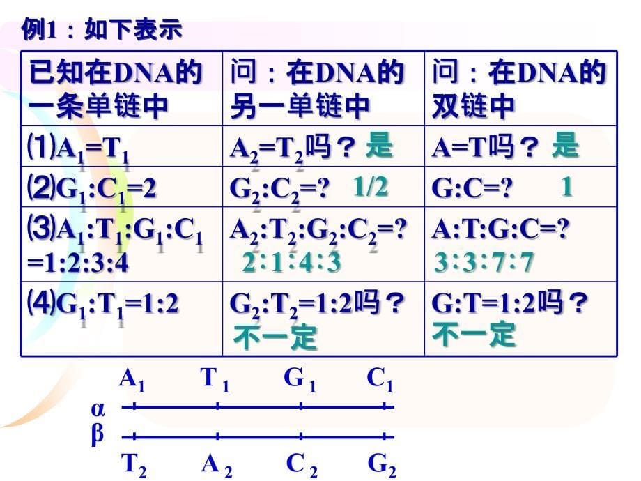 DNA分子相关计算_第5页