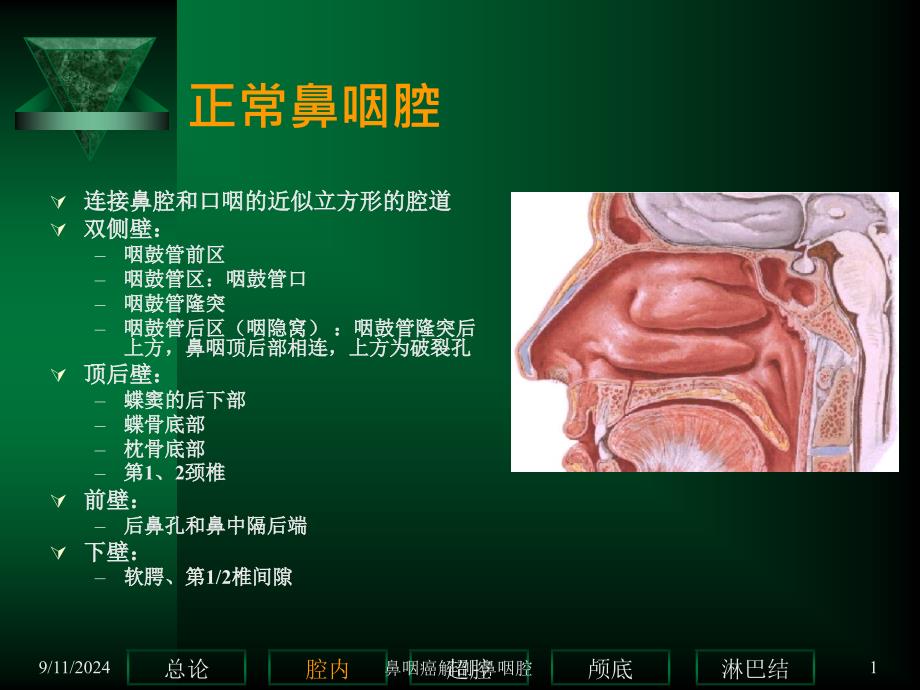 鼻咽癌解剖鼻咽腔课件_第1页
