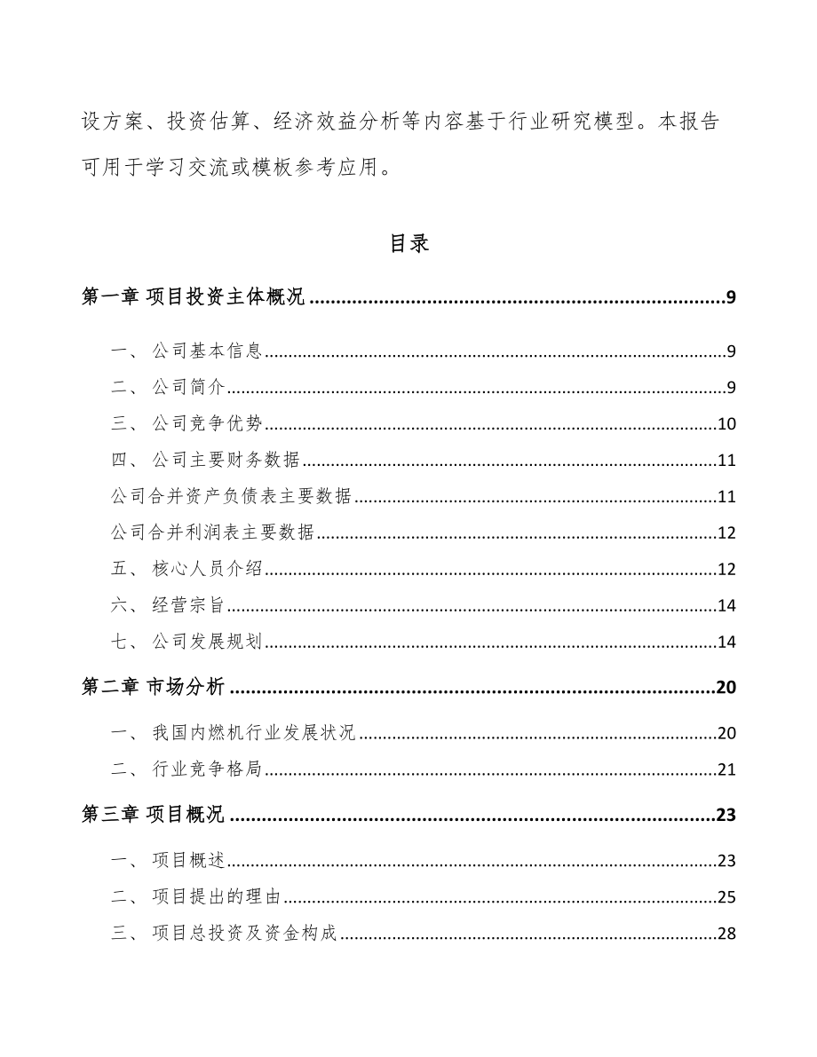 湖南起动电机项目可行性研究报告_第3页