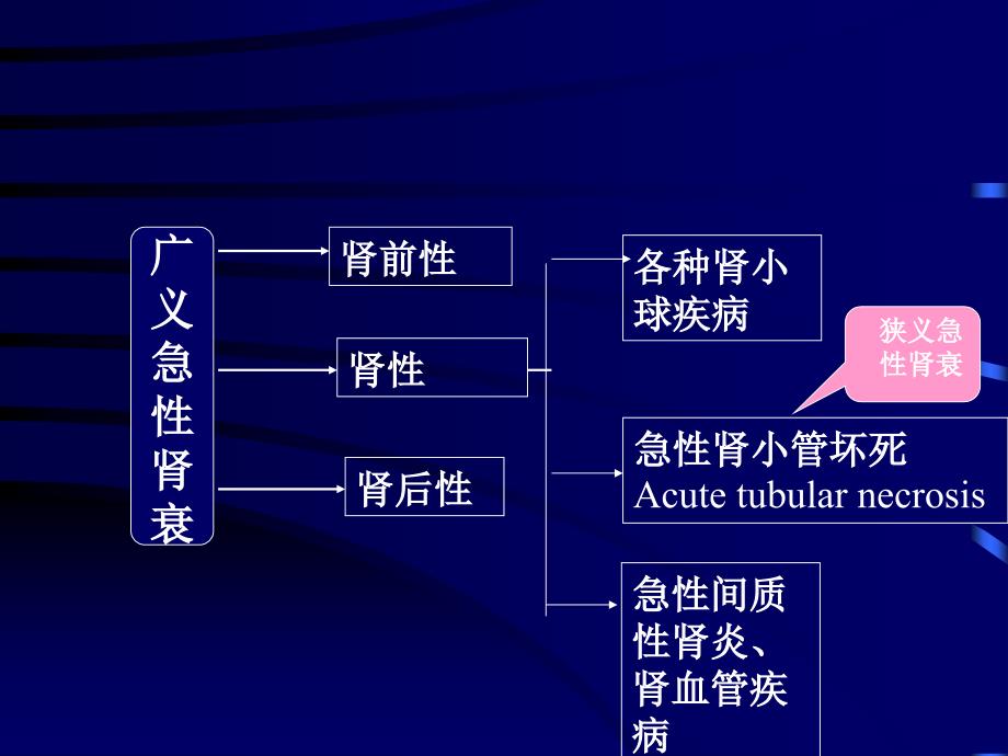 临床医学概要教学资料急性肾功能衰竭_第3页