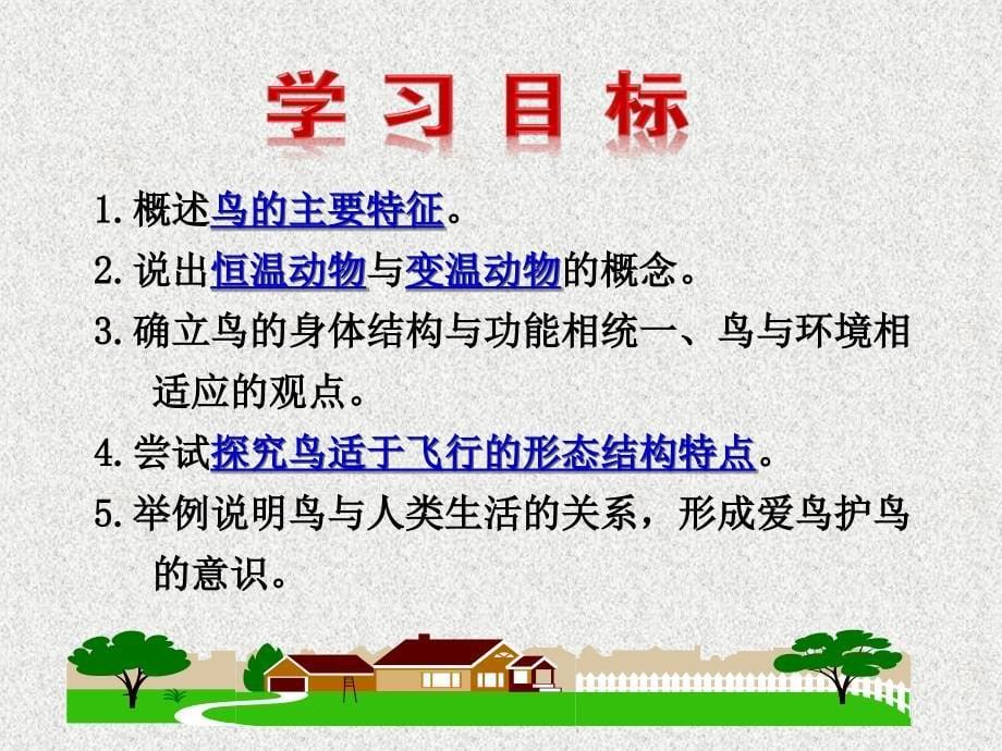 八年级上册人教版生物第六节 鸟.ppt_第5页