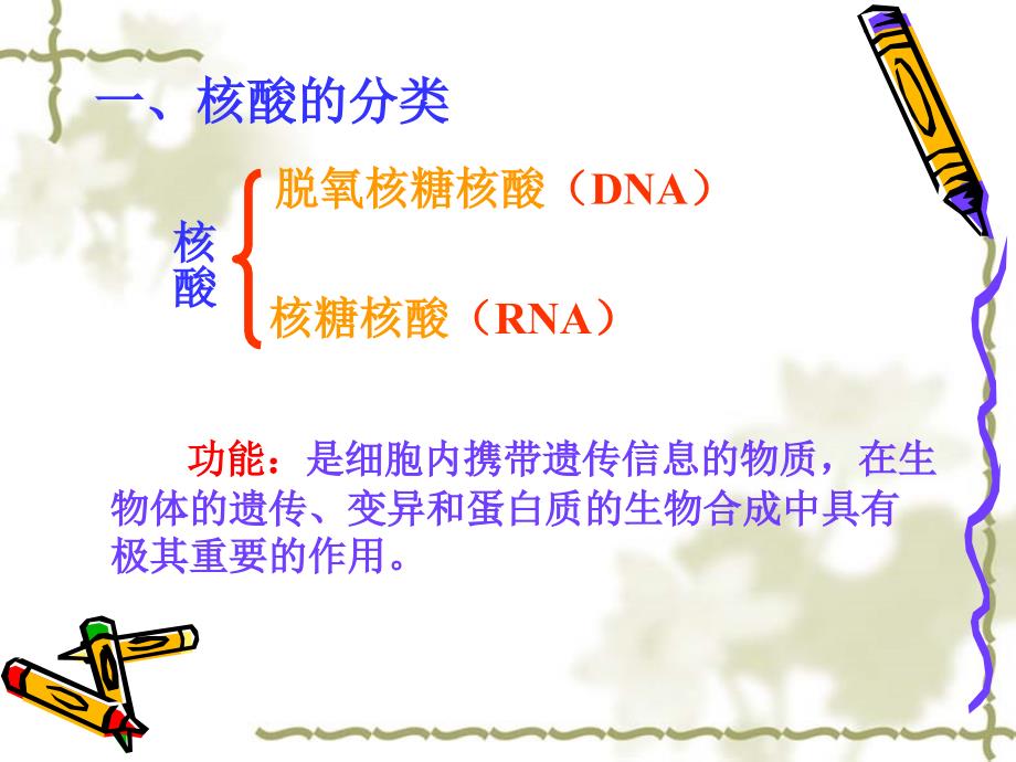 2.3遗传信息的携带者—核酸课件廖会权_第2页