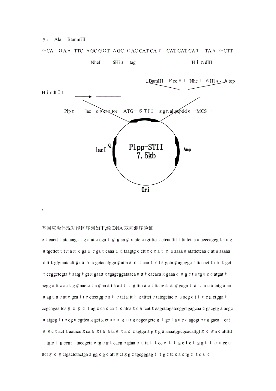 九种载体的多克隆位点及质粒图谱_第4页