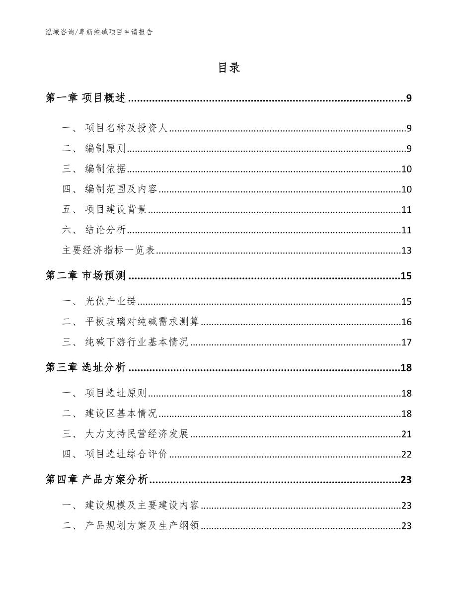 阜新纯碱项目申请报告（模板）_第2页