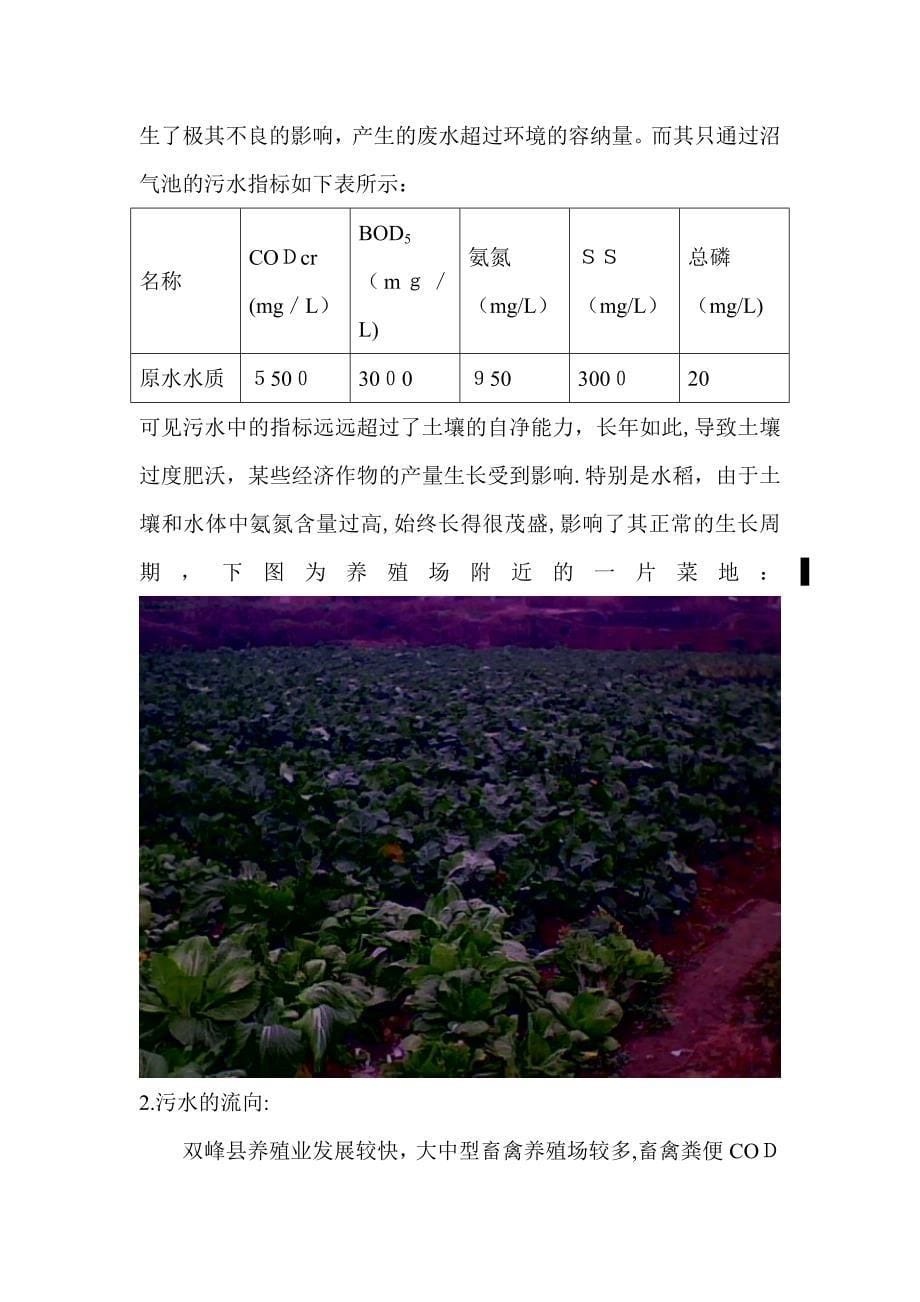 湖南农业大学调查格式_第5页
